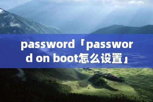 password「password on boot怎么设置」 password「password on boot怎么设置」