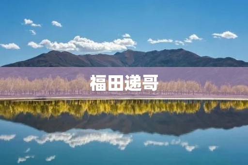 福田递哥：一个普通快递员的不凡故事