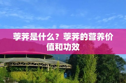 荸荠是什么？荸荠的营养价值和功效