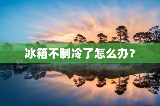 冰箱不制冷了怎么办？