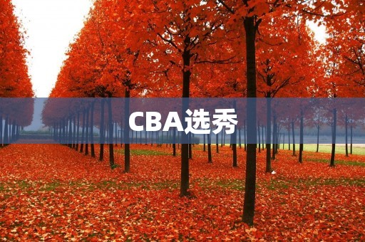 CBA选秀：中国篮球未来的希望