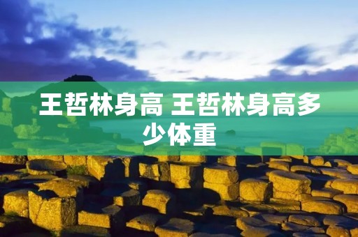 王哲林身高 王哲林身高多少体重 王哲林身高 王哲林身高多少体重