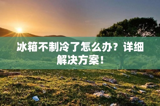 冰箱不制冷了怎么办？详细解决方案！
