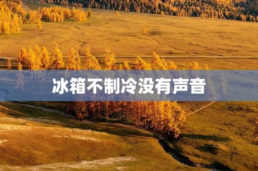 冰箱不制冷没有声音:如何快速解决? 冰箱不制冷没有声音:如何快速解决?
