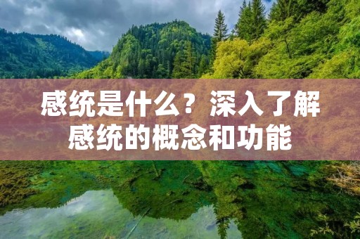 感统是什么？深入了解感统的概念和功能