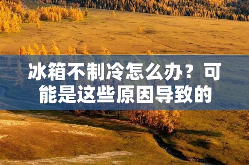 冰箱不制冷怎么办？可能是这些原因导致的