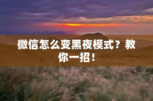 微信怎么变黑夜模式?教你一招! 微信怎么变黑夜模式?教你一招!