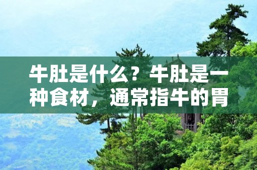 牛肚是什么？牛肚是一种食材，通常指牛的胃部，是牛身体内用来消化食物的器官，由于其独特的口感和营养价值，被广泛应用于各种菜肴中。