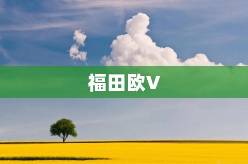 福田欧V:专为城市物流而生的高效之选 福田欧V:专为城市物流而生的高效之选