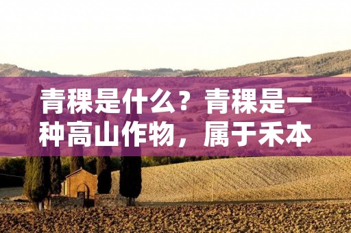 青稞是什么？青稞是一种高山作物，属于禾本科小麦属，与大麦十分相似，因其主要生长在青藏高原等高寒地区，所以被称为“青藏高原的珍珠”。