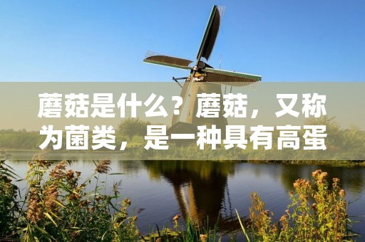 蘑菇是什么?蘑菇,又称为菌类,是一种具有高蛋白、低脂肪、高营养价值的食品。蘑菇的外观各异,形态多样,有圆形、扁平、伞形等不同的形状。蘑菇的种类也非常丰富,包括口蘑、草菇、平菇、松茸、金针菇等等。 蘑菇是什么?蘑菇,又称为菌类,是一种具有高蛋白、低脂肪、高营养价值的食品。蘑菇的外观各异,形态多样,有圆形、扁平、伞形等不同的形状。蘑菇的种类也非常丰富,包括口蘑、草菇、平菇、松茸、金针菇等等。