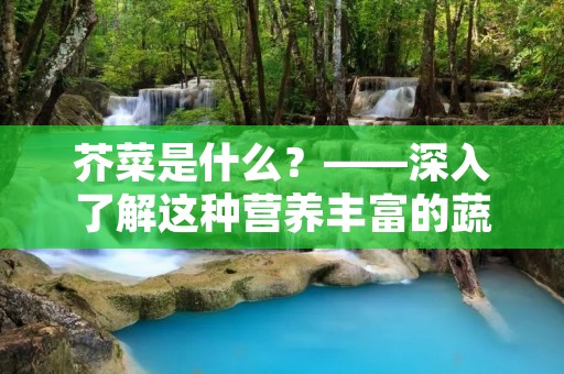 芥菜是什么?——深入了解这种营养丰富的蔬菜 芥菜是什么?——深入了解这种营养丰富的蔬菜
