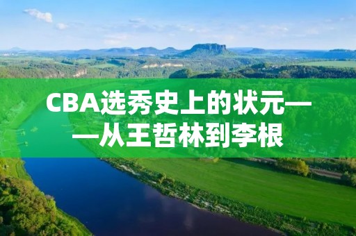 CBA选秀史上的状元——从王哲林到李根 CBA选秀史上的状元——从王哲林到李根
