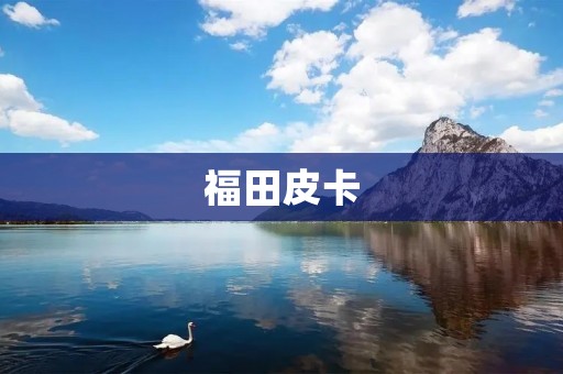 福田皮卡：性价比之王