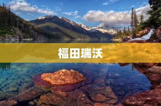 福田瑞沃：中国农机行业的领头羊
