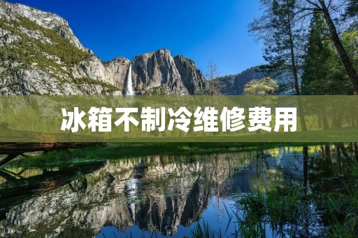冰箱不制冷维修费用:如何避免不必要的支出? 冰箱不制冷维修费用:如何避免不必要的支出?