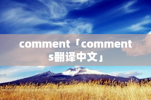comment「comments翻译中文」