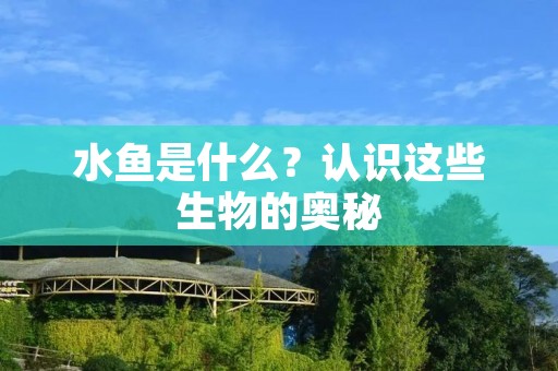 水鱼是什么?认识这些生物的奥秘 水鱼是什么?认识这些生物的奥秘