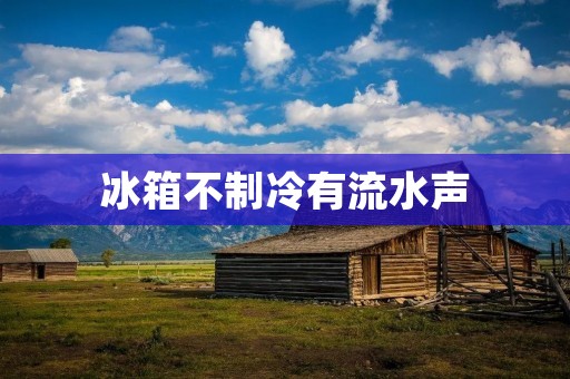 冰箱不制冷有流水声:问题分析与解决方案 冰箱不制冷有流水声:问题分析与解决方案
