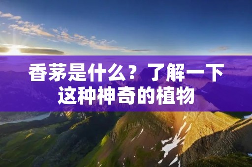 香茅是什么?了解一下这种神奇的植物 香茅是什么?了解一下这种神奇的植物