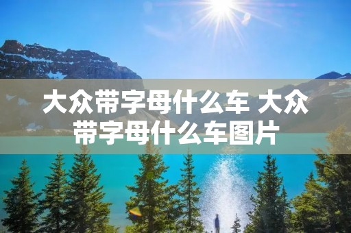 大众带字母什么车 大众带字母什么车图片