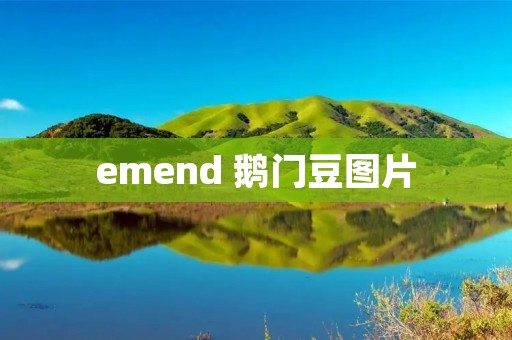 emend 鹅门豆图片