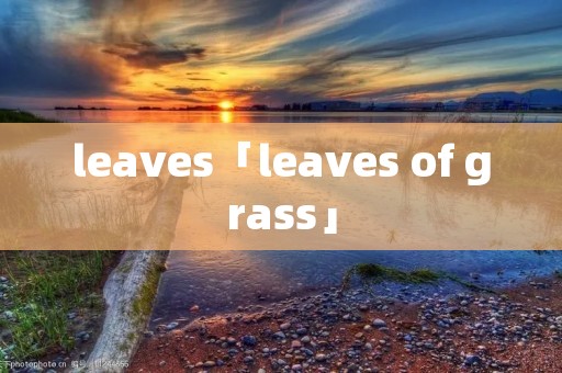 leaves「leaves of grass」 leaves「leaves of grass」