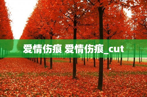 爱情伤痕 爱情伤痕_cut
