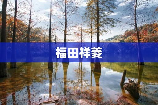 福田祥菱:轻型商用车的领航者 福田祥菱:轻型商用车的领航者