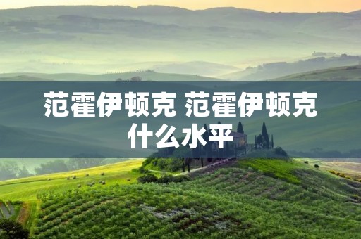 范霍伊顿克 范霍伊顿克什么水平