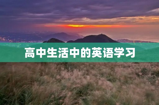 高中生活中的英语学习 高中生活中的英语学习