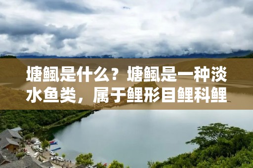 塘鲺是什么？塘鲺是一种淡水鱼类，属于鲤形目鲤科鲤亚科的鲺属。塘鲺分布于中国南方的江河湖泊中，主要生活在淡水中下层水域，属于肉食性鱼类，以小型鱼类、甲壳类和软体动物为食。