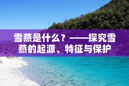 雪燕是什么?——探究雪燕的起源、特征与保护 雪燕是什么?——探究雪燕的起源、特征与保护