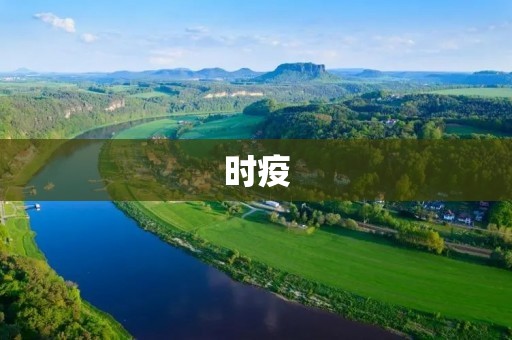 时疫：全球突发的公共卫生事件