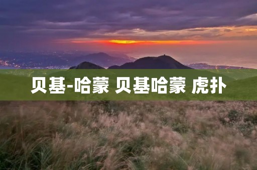 贝基-哈蒙 贝基哈蒙 虎扑