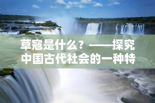 草寇是什么?——探究中国古代社会的一种特殊现象 草寇是什么?——探究中国古代社会的一种特殊现象
