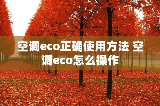 空调eco正确使用方法 空调eco怎么操作