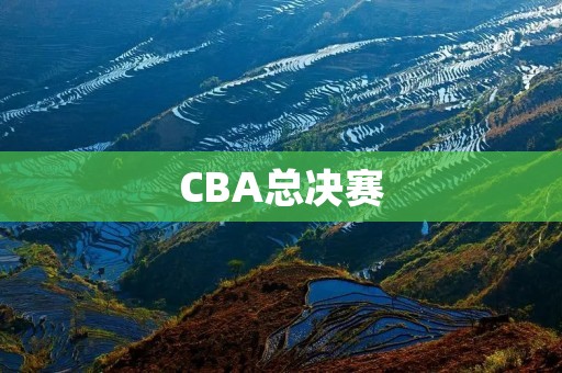 CBA总决赛：广东队与辽宁队的较量