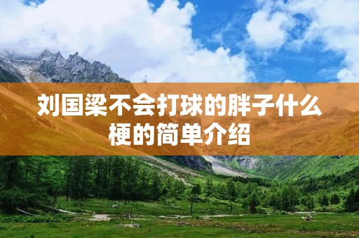 刘国梁不会打球的胖子什么梗的简单介绍 刘国梁不会打球的胖子什么梗的简单介绍