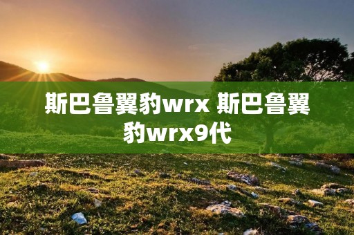 斯巴鲁翼豹wrx 斯巴鲁翼豹wrx9代