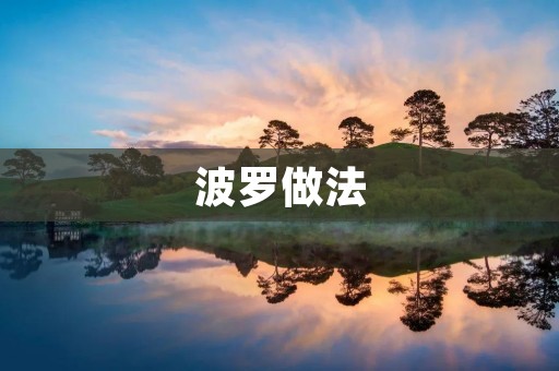 波罗做法:一种高效的图像压缩算法 波罗做法:一种高效的图像压缩算法