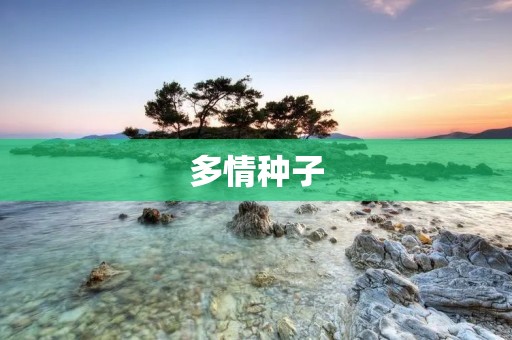 多情种子：一个永不停歇的爱的信仰