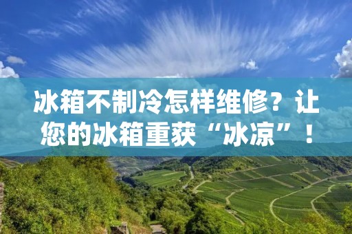 冰箱不制冷怎样维修？让您的冰箱重获“冰凉”！
