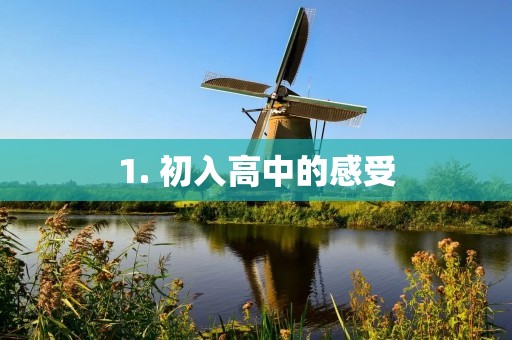 1. 初入高中的感受