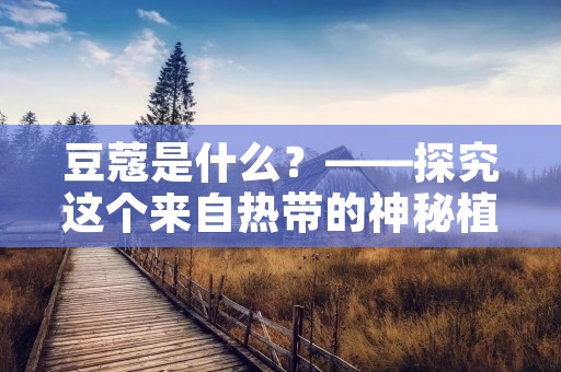 豆蔻是什么？——探究这个来自热带的神秘植物