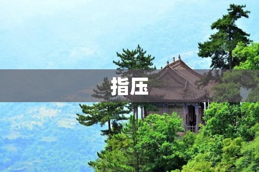 指压:疏通经络、舒缓身心的自然疗法 指压:疏通经络、舒缓身心的自然疗法