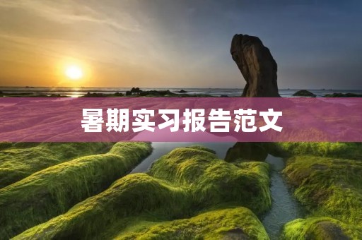 暑期实习报告范文:我的暑期实习经历