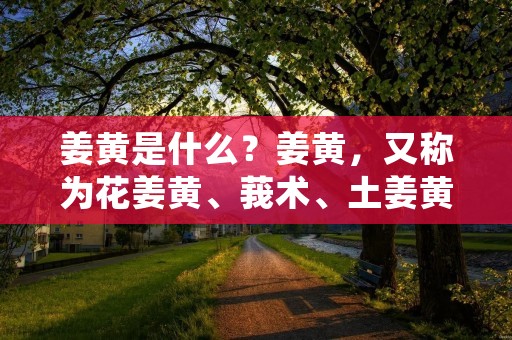 姜黄是什么？姜黄，又称为花姜黄、莪术、土姜黄等，是一种常见的中药材，也是一种被广泛应用的天然食品添加剂。其主要成分为姜黄素，具有抗氧化、抗炎、抗肿瘤等多种生物活性，因此在医学、保健、食品等领域广受欢迎。