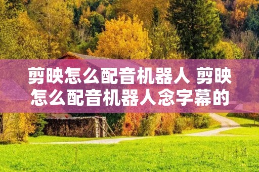 剪映怎么配音机器人 剪映怎么配音机器人念字幕的声音