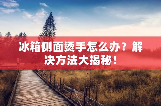 冰箱侧面烫手怎么办?解决方法大揭秘! 冰箱侧面烫手怎么办?解决方法大揭秘!